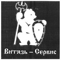 витязь-сервис, витязь, сервис