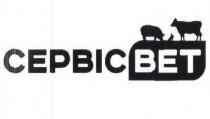 сервіс вет, сервіс, вет, cepbic bet, cepbic, bet
