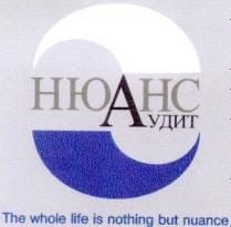нюанс, аудит, the whole life is nothing but nuance