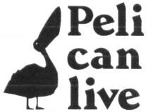 pelican live, pelican, live, peli, can