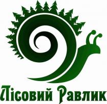 лісовий равлик, лісовий, равлик