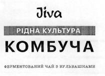 рідна культура, рідна, культура, комбуча, jiva, ферментований чай з бульбашками, ферментований, чай, бульбашками
