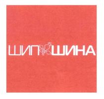 шипшина, шип, шина, шип шина