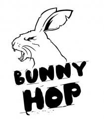 bunny hop, bunny, hop