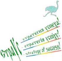 страус, страус-стратегия успеха, страус-стратегія успіху, страус-strategy of success