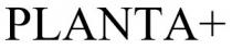 +, planta, planta+