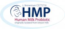 l.fermentum cect5716, l.fermentum, cect5716, l, l., fermentum, hmp, нмр, human milk probiotic, human, milk, probiotic, originally isolated from breast milk, originally, isolated, breast, milk