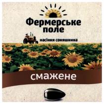 фермерське поле, фермерське, поле, насіння соняшника, насіння, соняшника, смажене