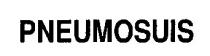 pneumosuis