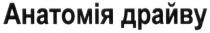 анатомія, анатомія драйву, драйву