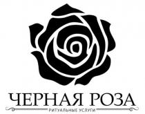 ритуальные, ритуальные услуги, услуги, роза, черная, черная роза