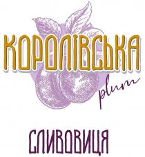 королівська сливовиця, королівська, сливовиця, plum