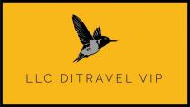 llc ditravel vip, llc, ditravel, vip