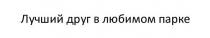 лучший друг в любимом парке, лучший, друг, любимом, парке