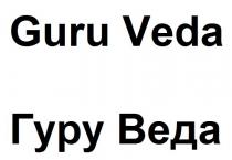 guru, guru veda, veda, веда, гуру, гуру веда