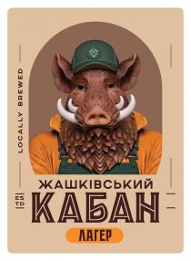 жашківський кабан, жашківський, кабан, лагер, locally brewed, locally, brewed, es td, es, td