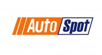 auto, auto spot, spot