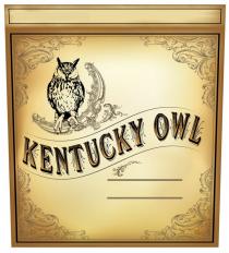 kentucky, kentucky owl, owl