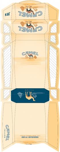 jti, camel, yellow, throwback to 1913 the real camel story, throwback, 1913, real, story