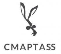 cmaptass, cmapt ass, cmapt, ass, смарт