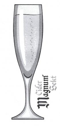 cider, cider magnum sekt, magnum, sekt