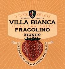 con, fermentazione, bianca, bianco, fragolino, gusto, naturale, sidro, sidro, sidro con gusto, sidro naturale, perfetta, prodotto, prodotto di fermentazione naturale, qualita, qualita perfetta, villa, villa bianca fragolino