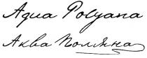 aqua polyana, aqua, polyana, аква поляна, аква, роляна