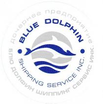 blue dolphin, shipping service, блю долфин шиппинг сервис