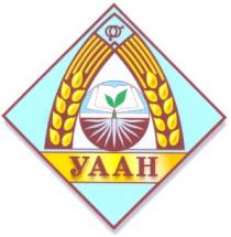 уаан
