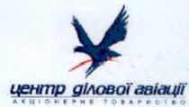 центр ділової авіації, акціонерне товариство