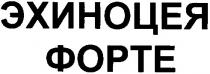 эхиноцея форте