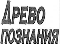 древо познания