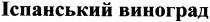 іспанський виноград