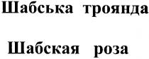 шабська троянда, шабская роза