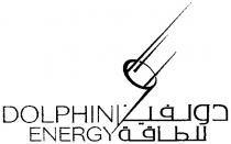 dolphin, energy, 9