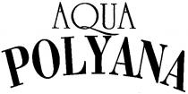aqua, polyana