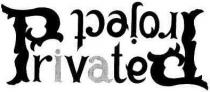 private, project
