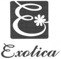 е, e, exotica