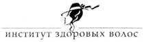 институт здоровых волос, институт, здоровых, волос