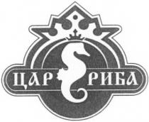 цар риба, цар, риба