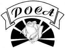 poca, роса