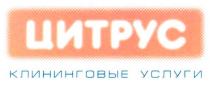 цитрус, клининговые услуги, клининговые, услуги