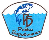 рб, рибка боровицька, рибка, боровицька