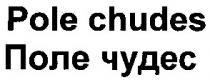 pole chudes, pole, chudes, поле чудес, поле, чудес