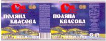 поляна квасова, поляна, квасова, смв, cmb, гідрокарбонатна натрієва борна, мінеральна вода, минеральная вода, гидрокарбонатная натриевая борная