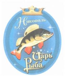 никополь, царь рыба, царь, рыба