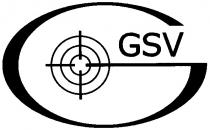 g, gsv