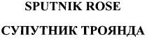 sputnik rose, sputnik, rose, супутник троянда, супутник, троянда