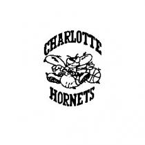 charlotte hornets