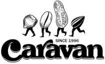 caravan, since 1996, since, 1996